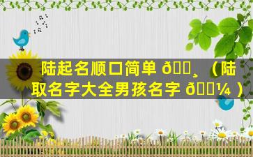 陆起名顺口简单 🕸 （陆取名字大全男孩名字 🌼 ）